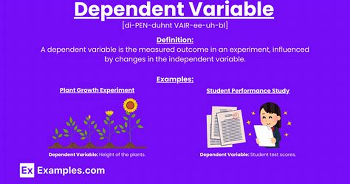 What Is a Variable