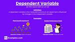 What Is a Variable