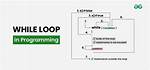 What Is a While Loop?