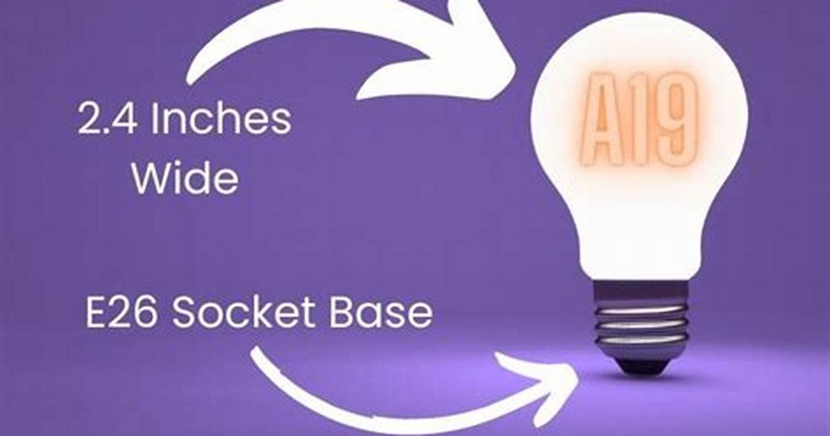What Is A19 Socket