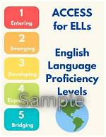 What Is Access for Ells?