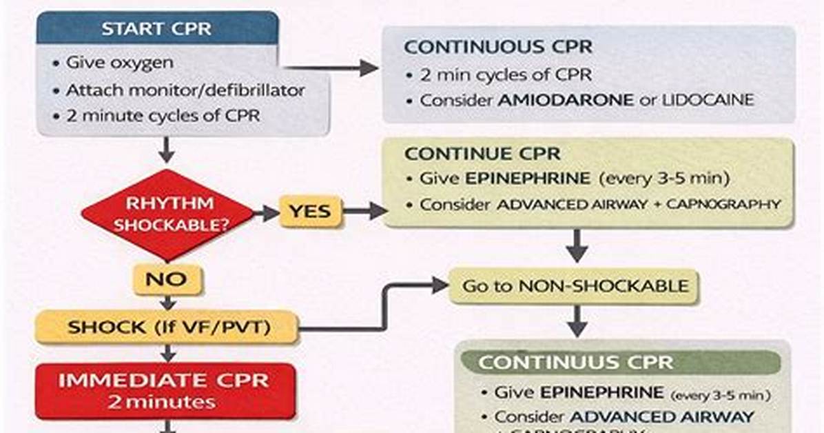 What Is Acls