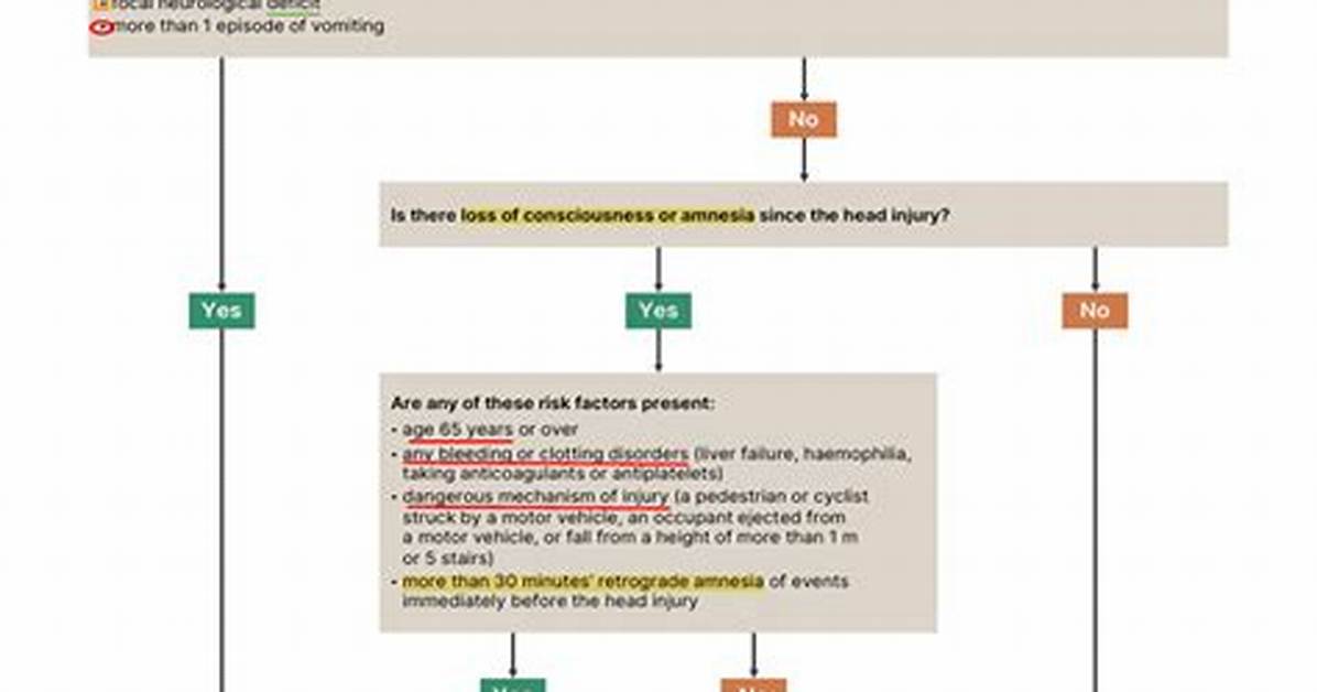What Is Algorithm in Ct Scan?