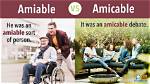What Is Amiability Definition?