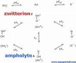 What Is Ampholyte Solution?