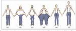 What Is Ample Body Type?