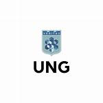 What Is an Ung? | Contextresponse. Com