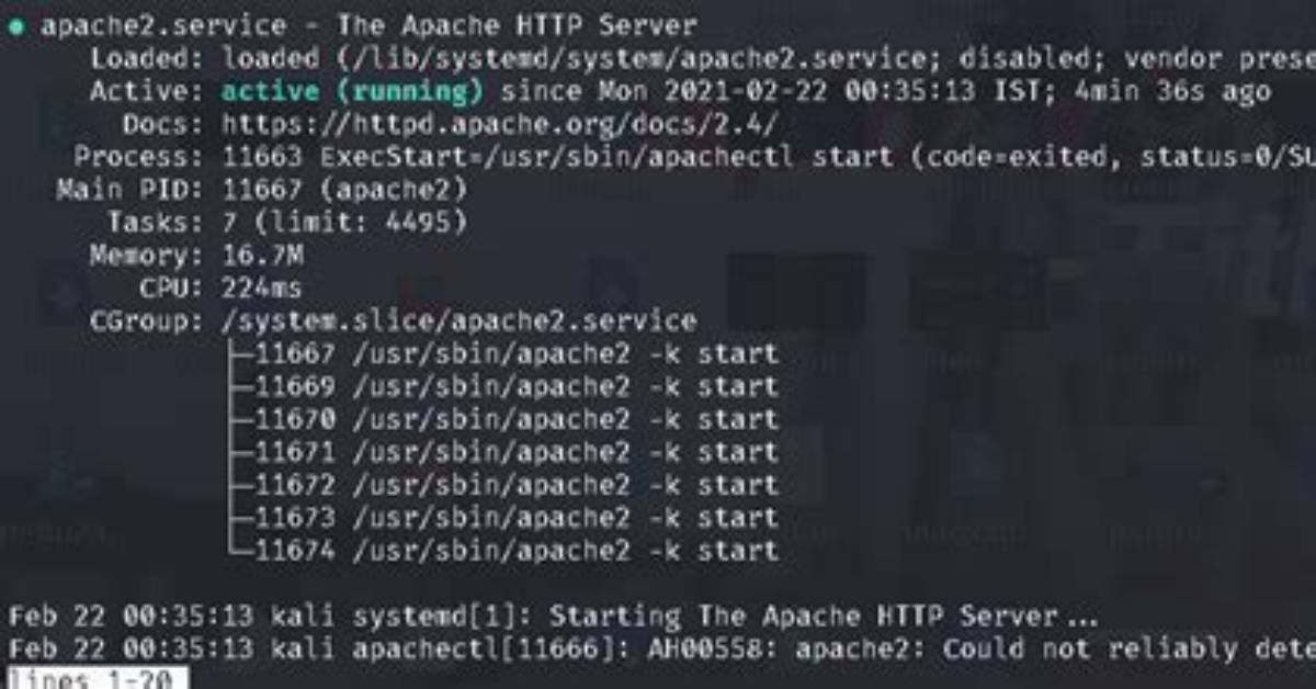What Is Apache Server in Linux?