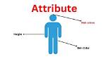 What Is Attribute Mean