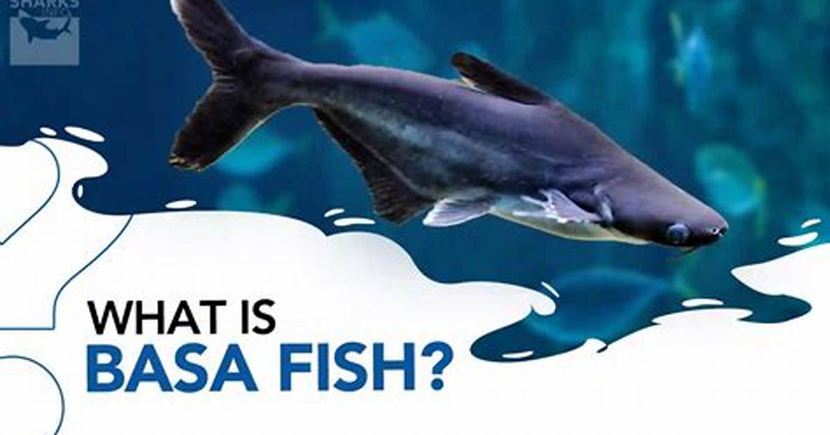 What Is Basa