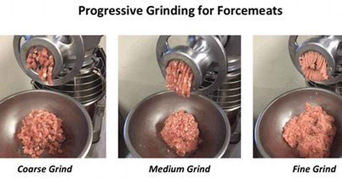 What Is Basic Forcemeat?