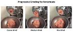 What Is Basic Forcemeat?