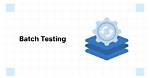 What Is Batch Testing?