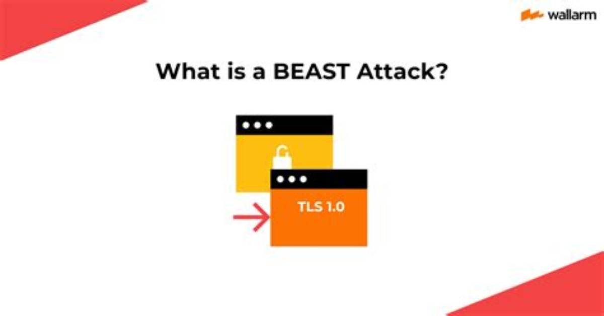 What Is Beast Attack? | Contextresponse. Com