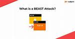What Is Beast Attack? | Contextresponse. Com