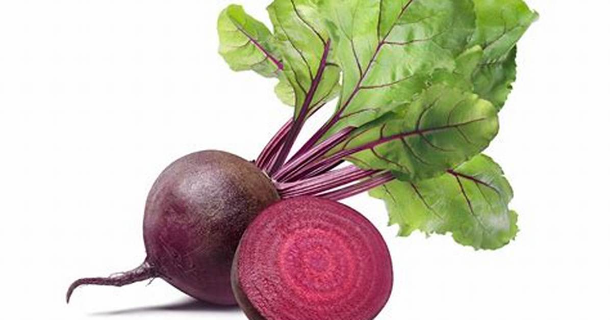 What Is Beetroot