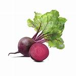 What Is Beetroot