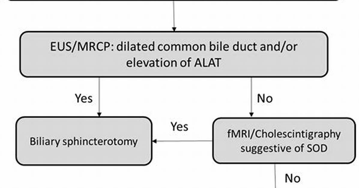 What Is Biliary Dysfunction?
