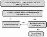 What Is Biliary Dysfunction?