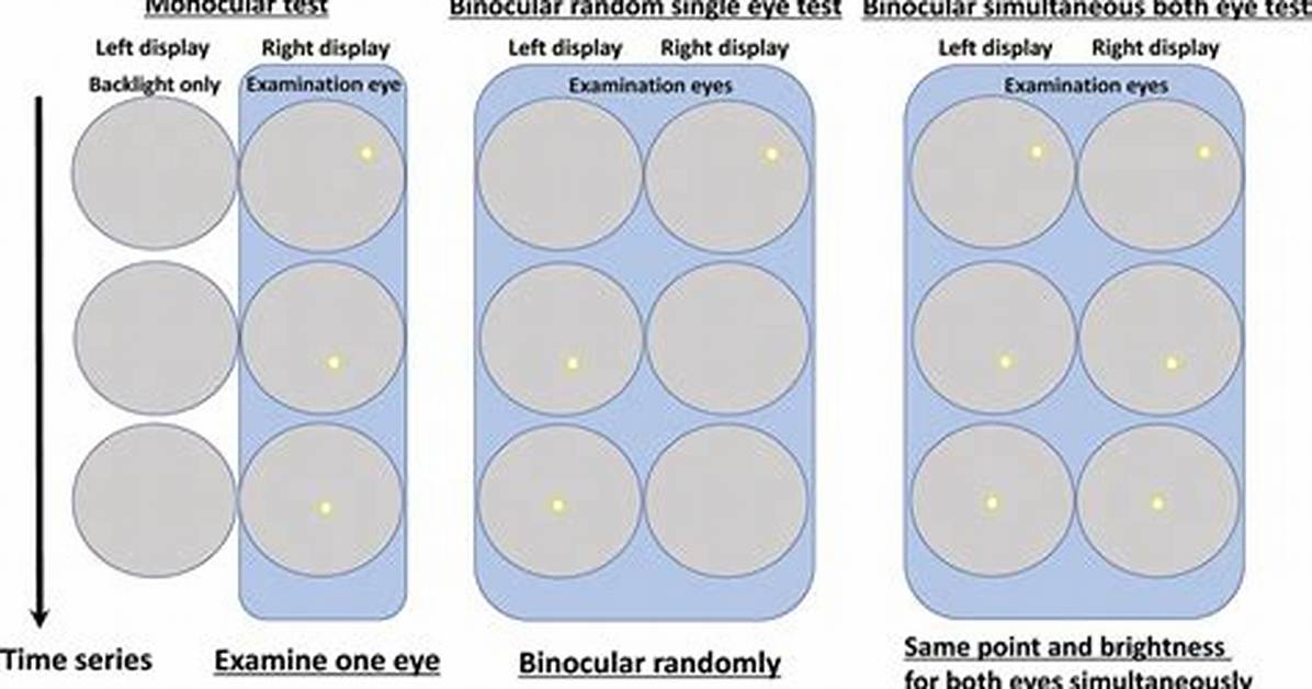 What Is Binocular Testing