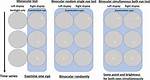 What Is Binocular Testing