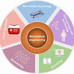 What Is Biomedical Engineering Technology?
