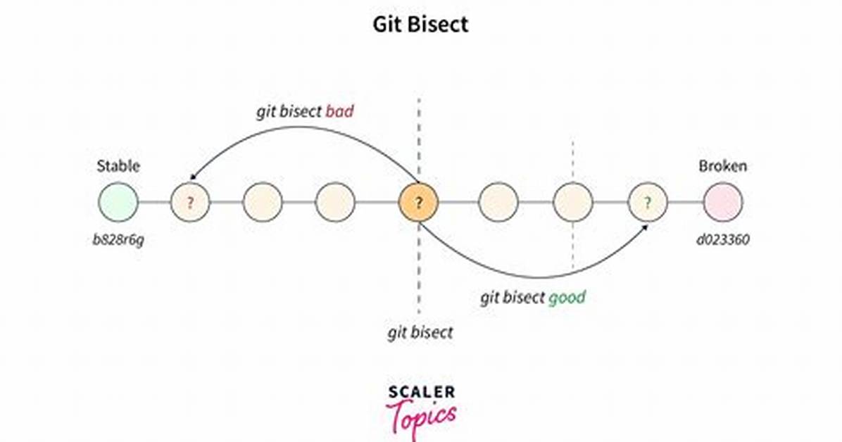 What Is Bisect in Git