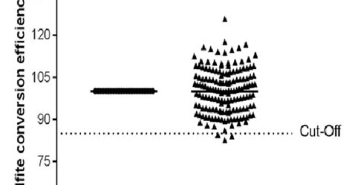 What Is Bisulfite Conversion Efficiency?