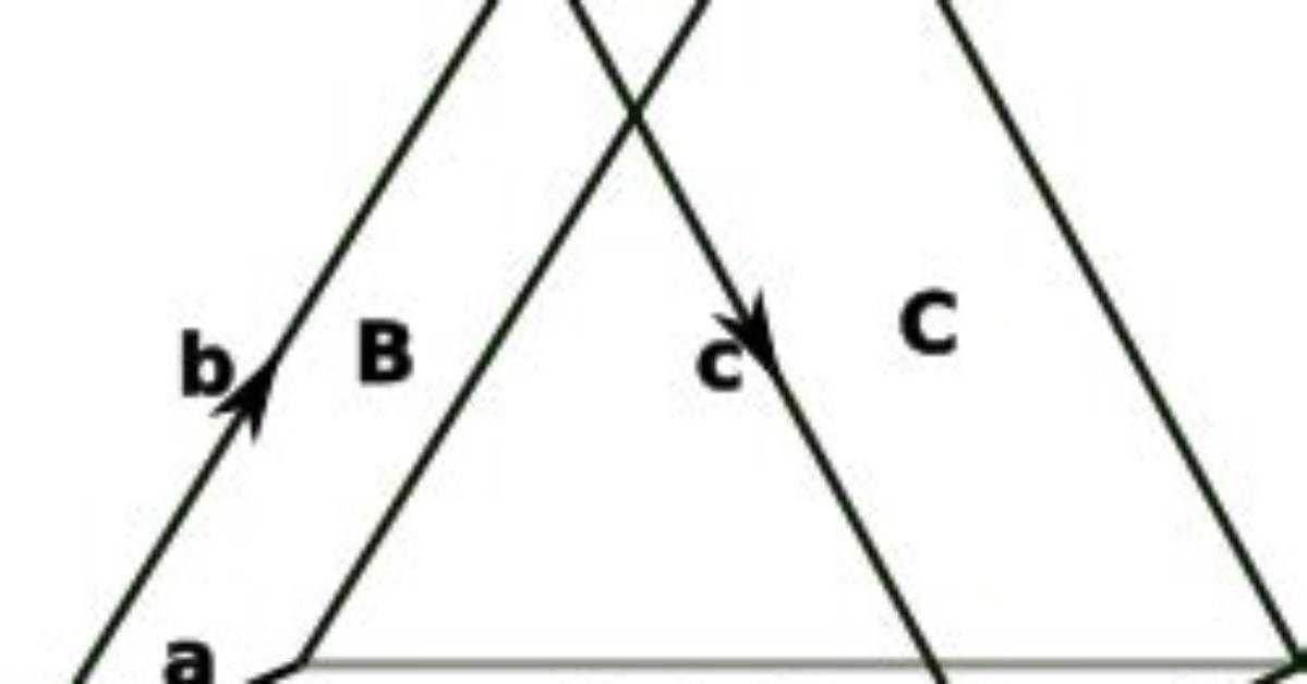 What Is Bivector Quantity?