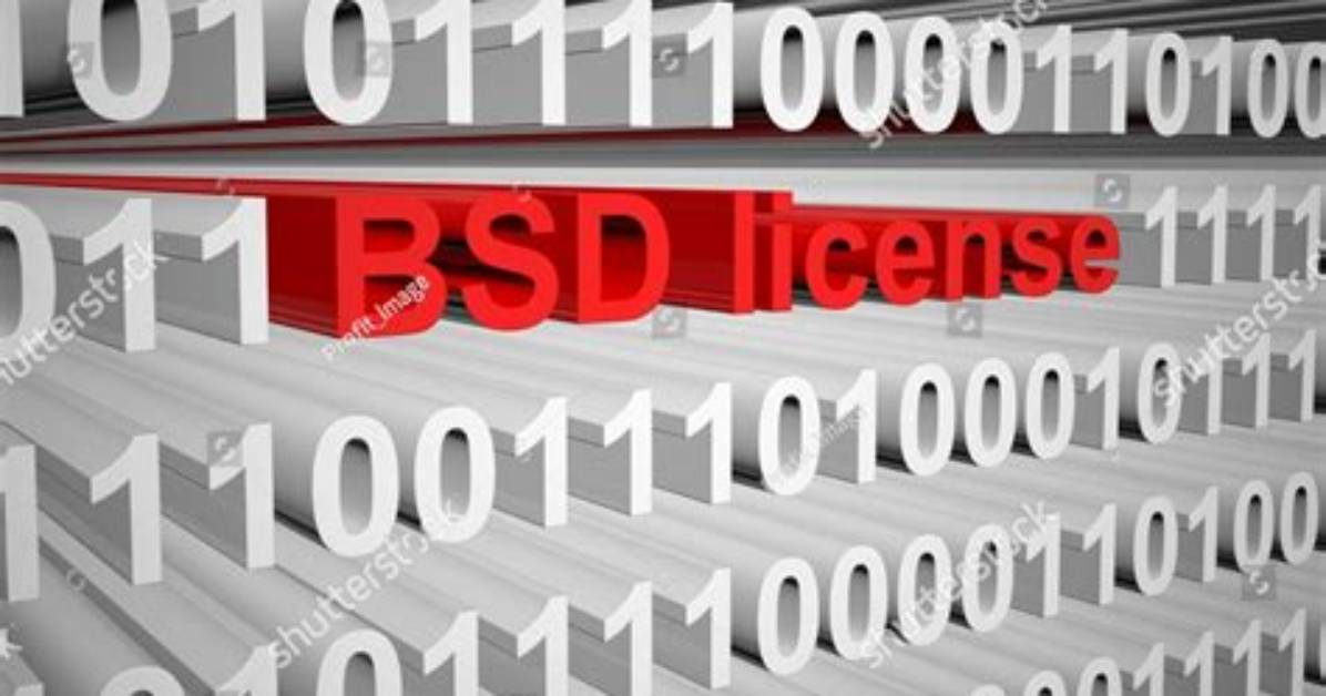 What Is Bsd Code?