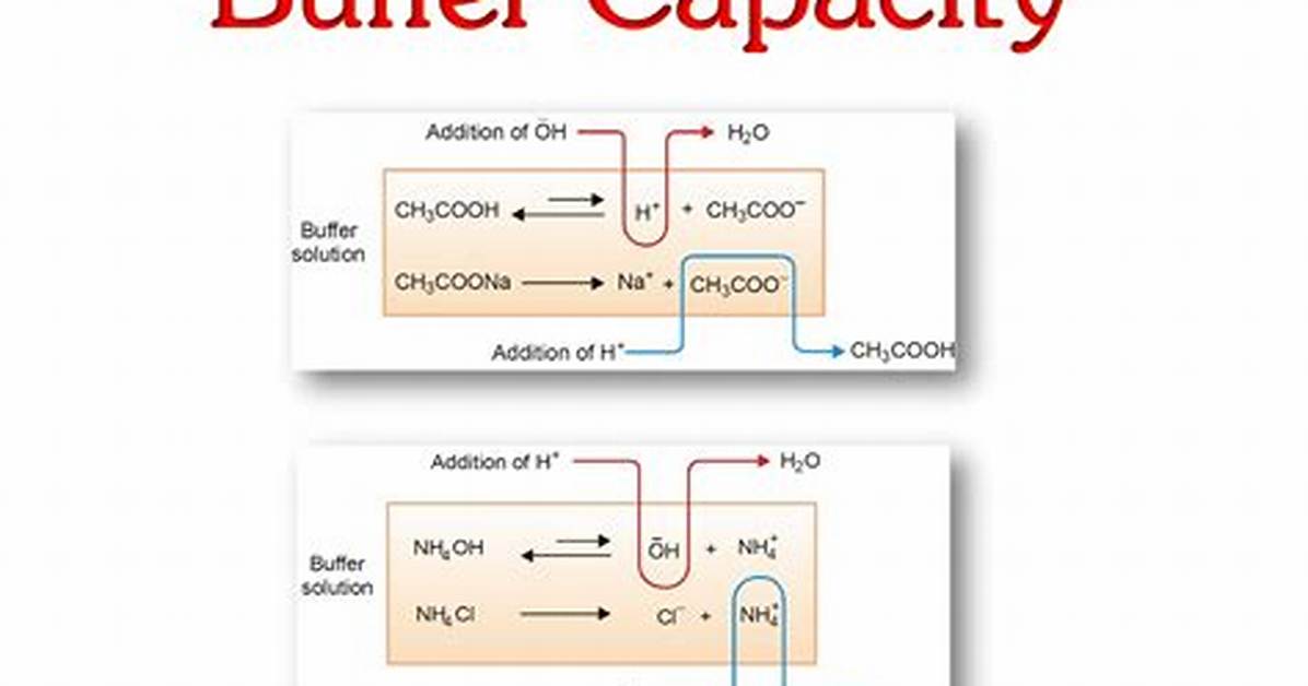 What Is Buffer Capacity