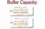 What Is Buffer Capacity