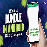 What Is Bundle Android Example?