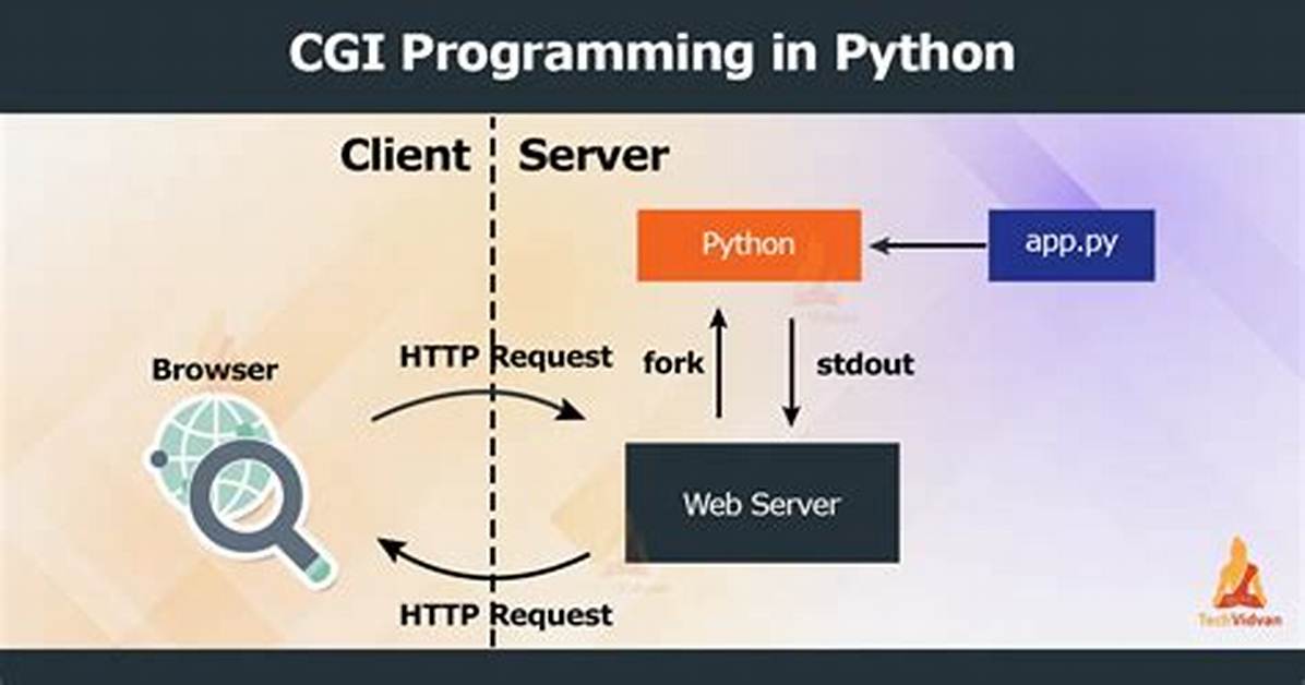 What Is Cgi Programming