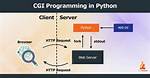 What Is Cgi Programming