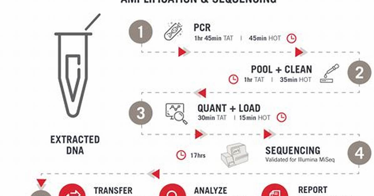 What Is Chimerism Testing?