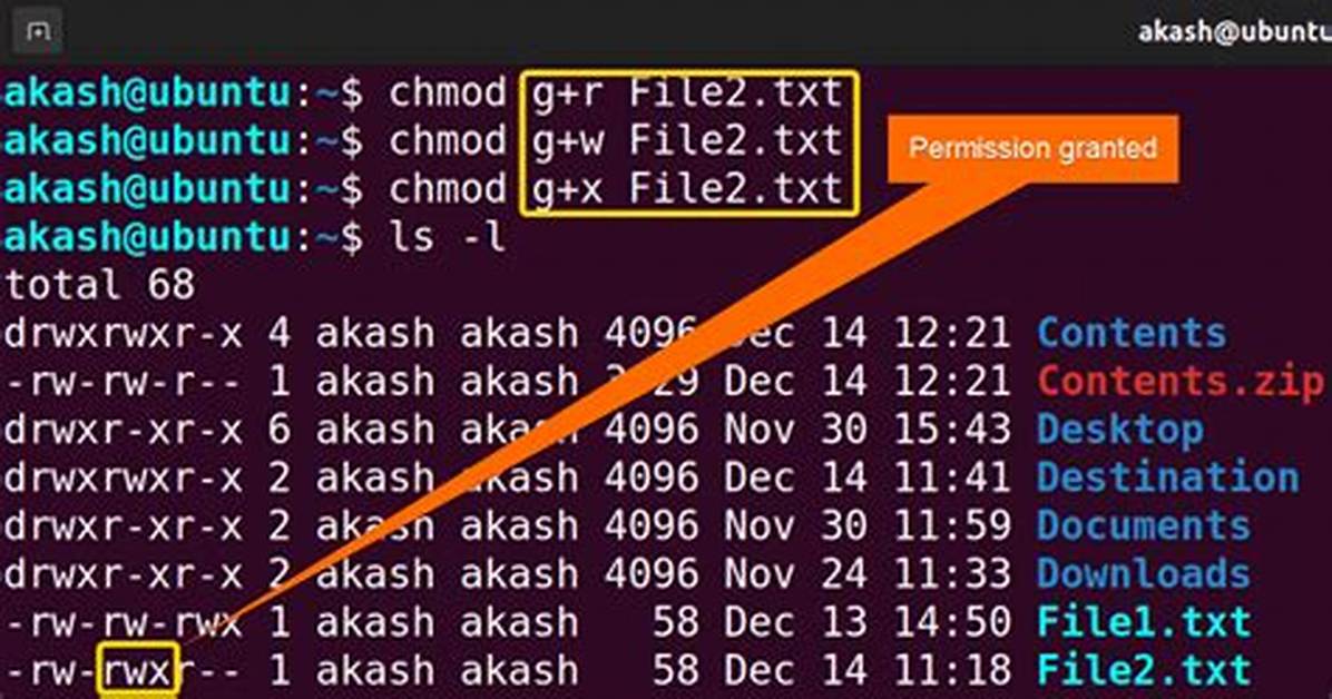 What Is Chmod 755 Command in Linux?