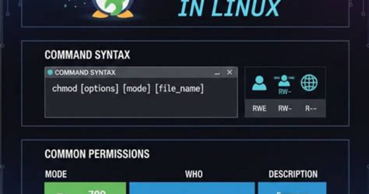 What Is Chmod 775 Command in Linux?