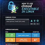 What Is Chmod 775 Command in Linux?