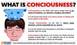 What Is Conscience Simple Definition?