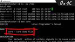 What Is Core Dump in Linux?