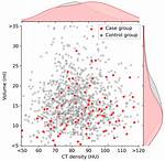 What Is Ct Density? | Contextresponse. Com