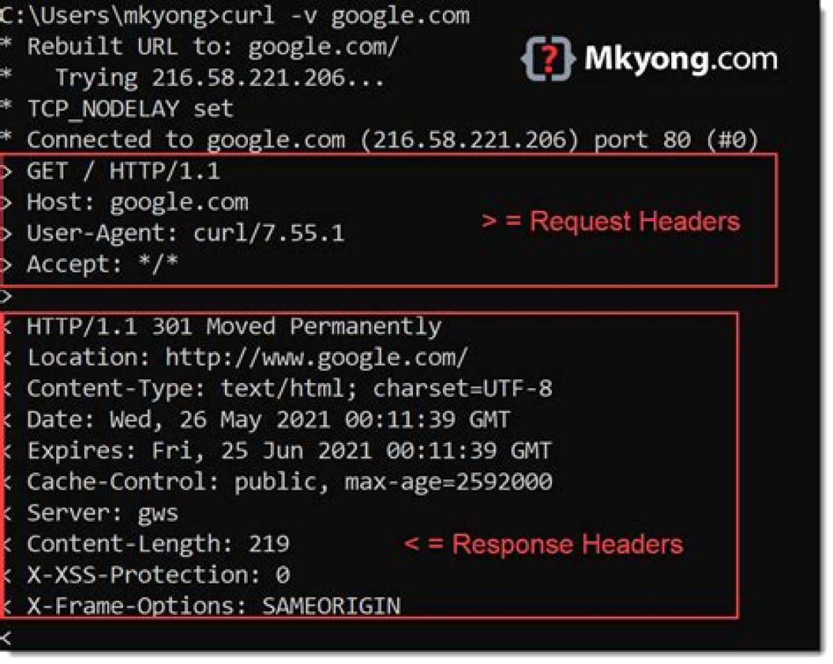 What Is Curl Return