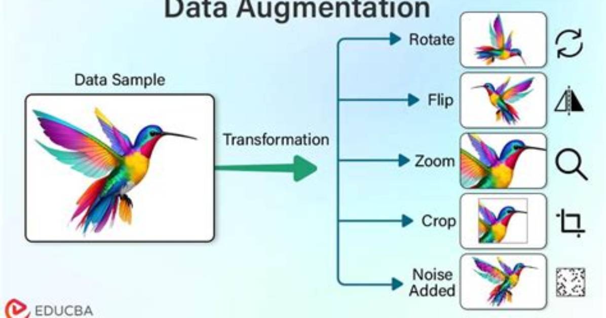 What Is Data Augmentation?
