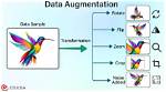 What Is Data Augmentation?