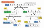 What Is Data Normalization?