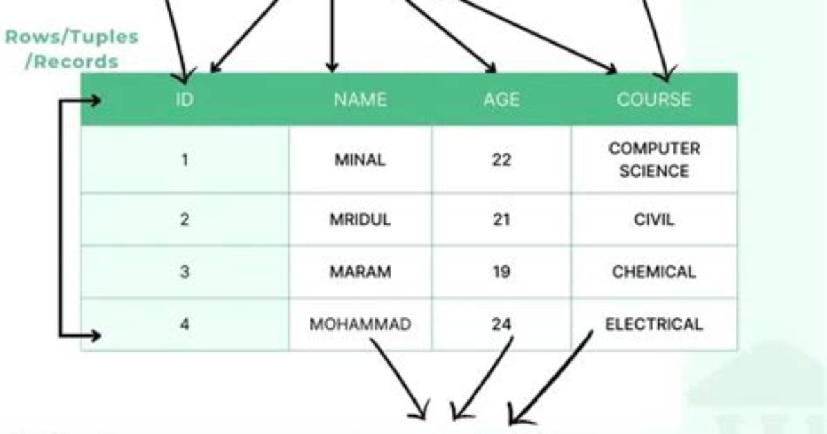 What Is Database Table Structure