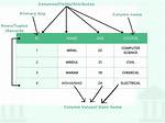 What Is Database Table Structure