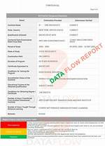 What Is Dataflow Report?