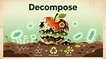 What Is Decompose